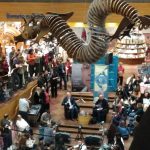 Lançamento O Mundo Como Eu Vejo