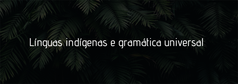 Línguas indígenas e Gramática Universal | Bruna Franchetto, Márcia Damaso Vieira, Marcus Maia, Miriam Lemle