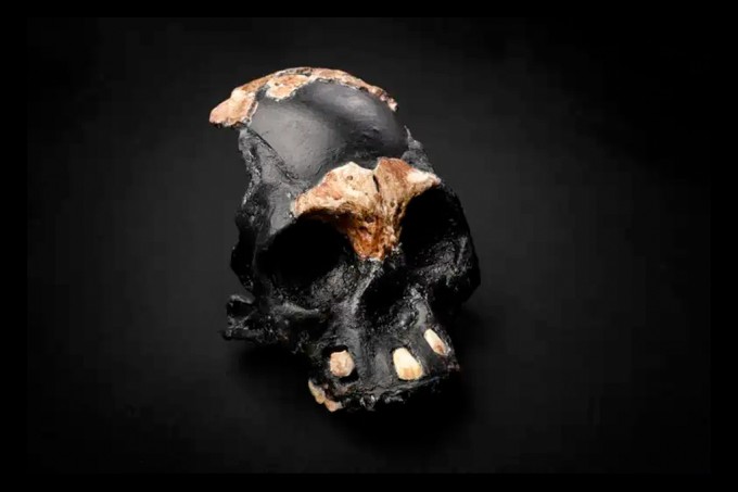 Crânio sugere que Homo naledi sepultava seus mortos