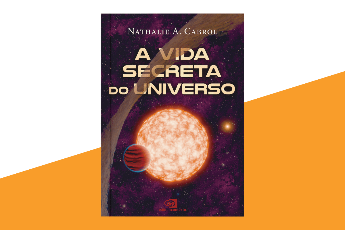 A vida secreta do universo