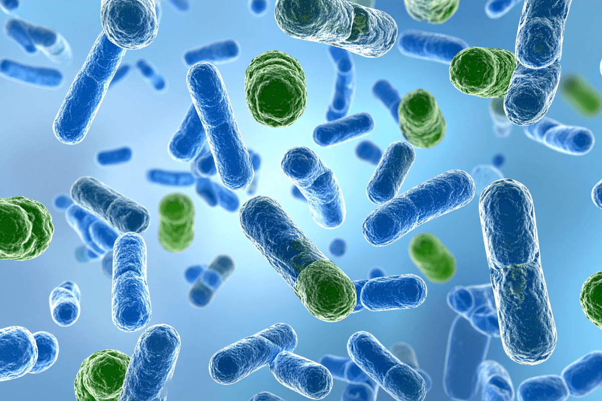 Tempos atuais favorecem o desenvolvimento de doenças infecciosas